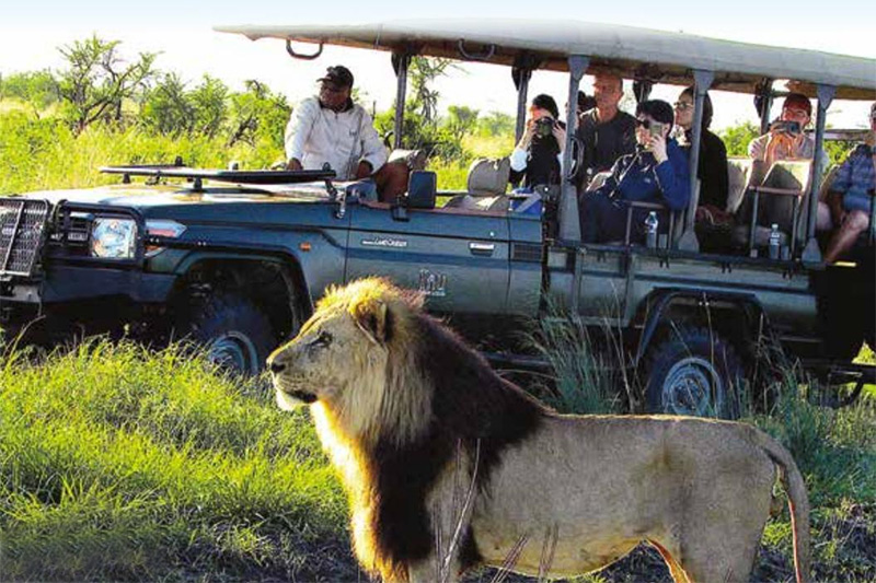 Tourism